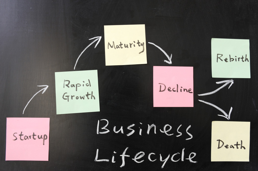 Business lifecycle concept on blackboard